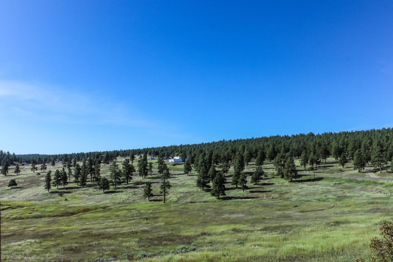Split Pine Cabin พาโกซาสปริงส์ ภายนอก รูปภาพ